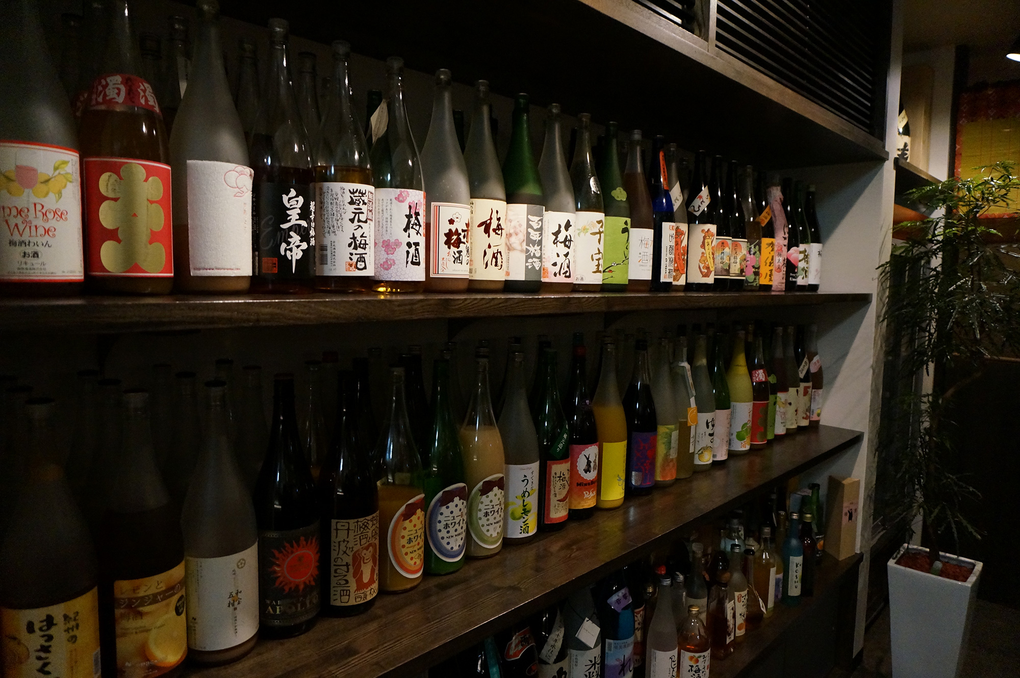 MOTSUNABEYA Tsubo吉